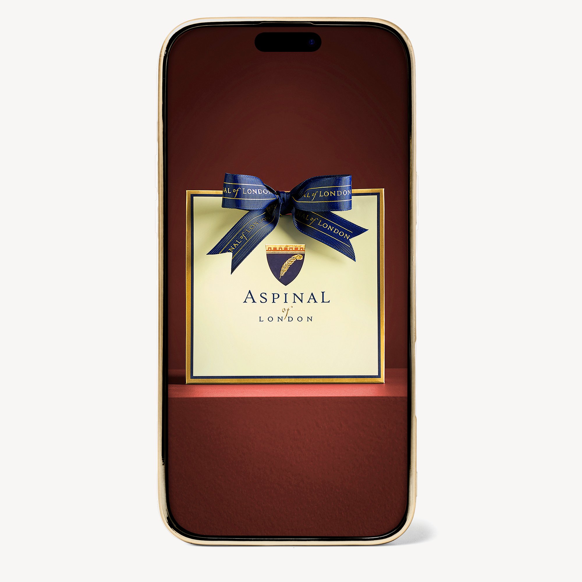 iPhone 16 Pro Max Case