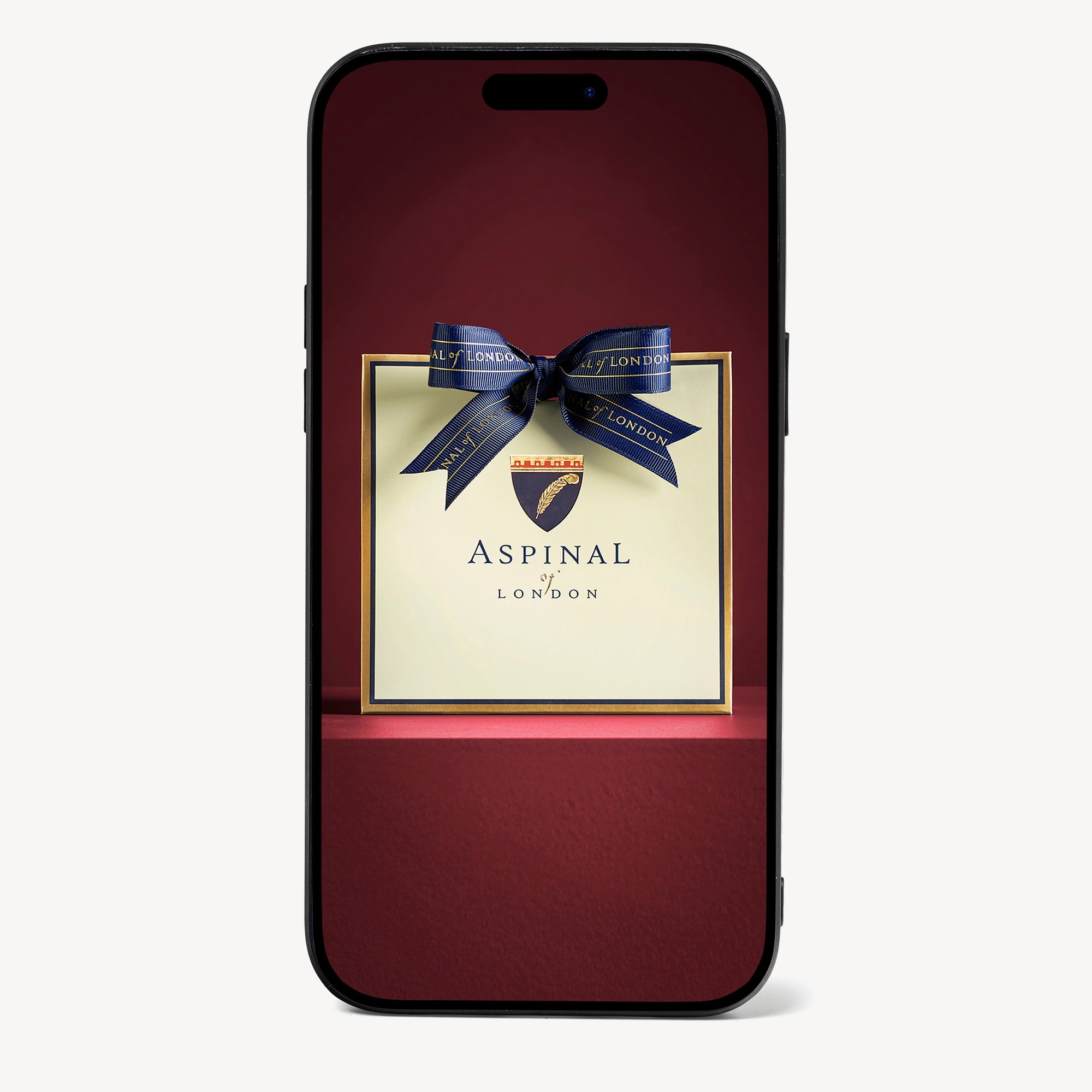 iPhone 14 Pro Max Case