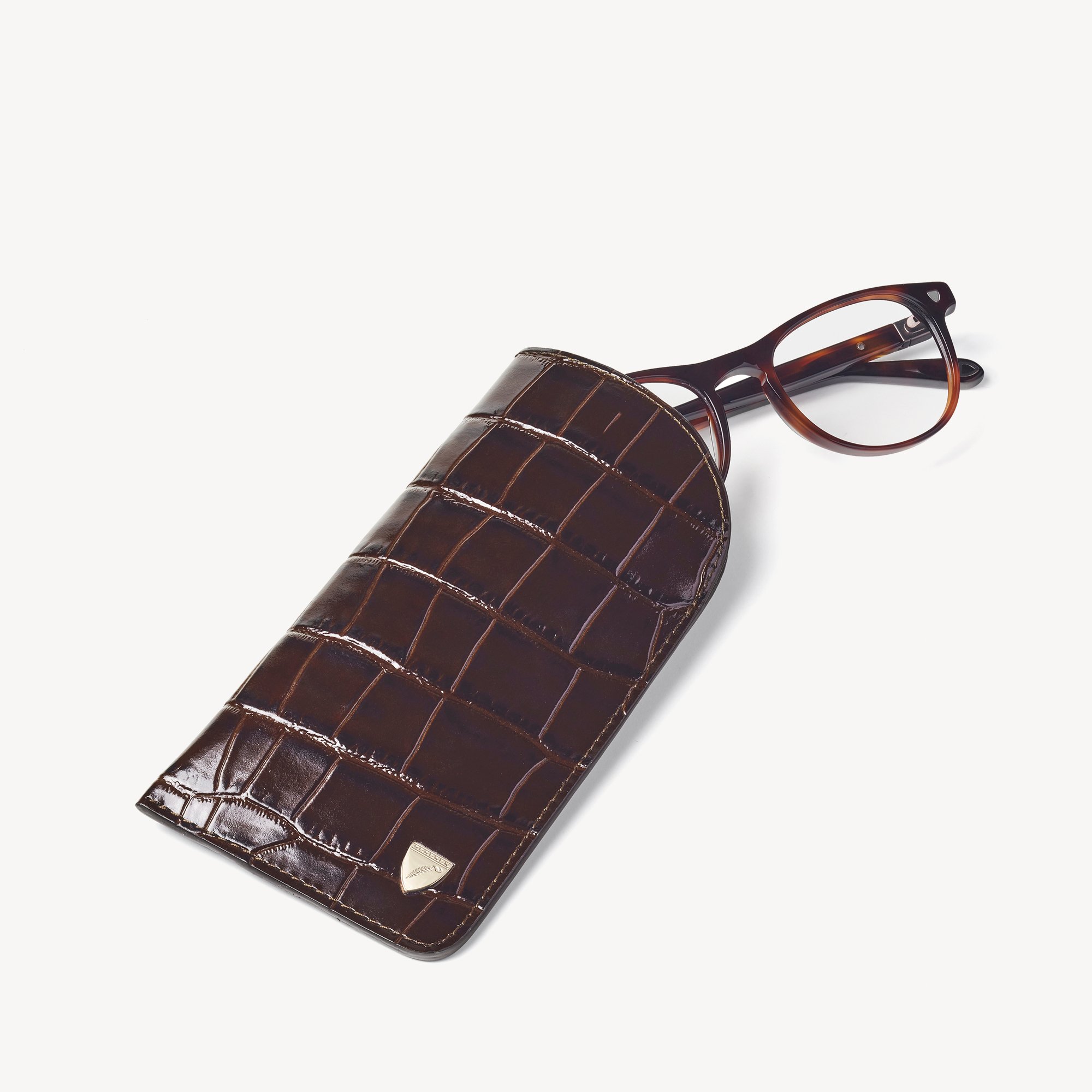 Glasses Case