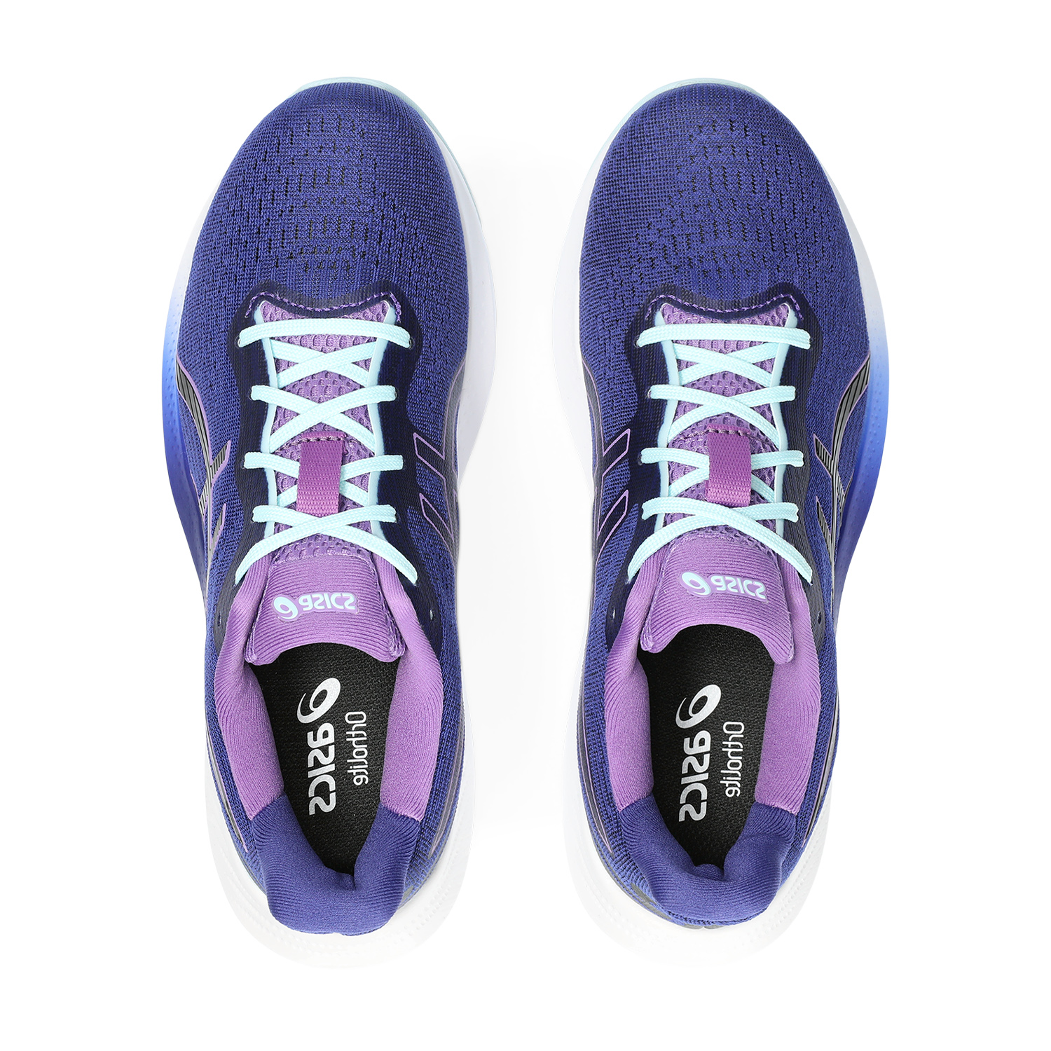 Asics Gel Pulse 14 Eggplant/Black