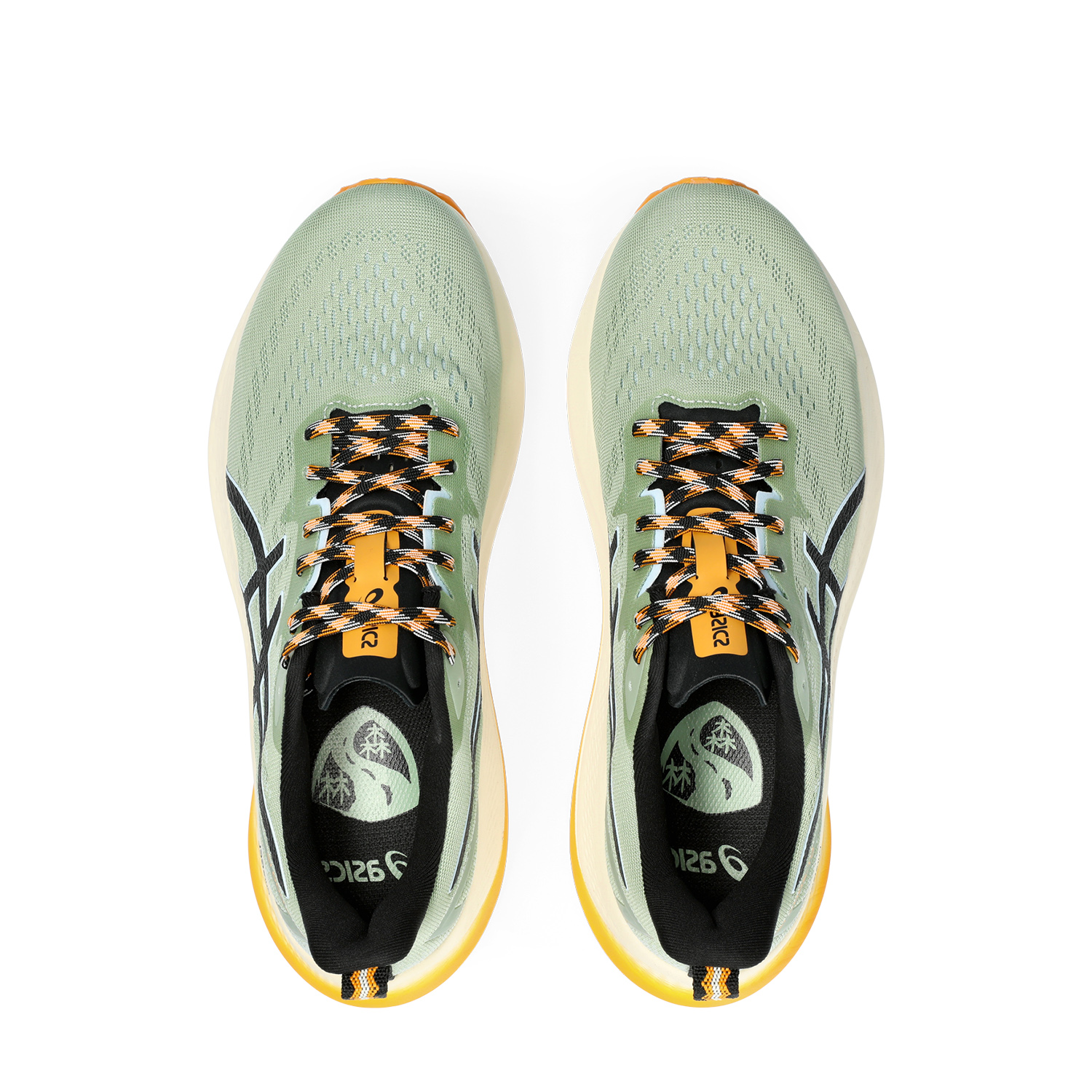 Asics GT 2000 12 TR Nature Bathing/Fellow Yellow