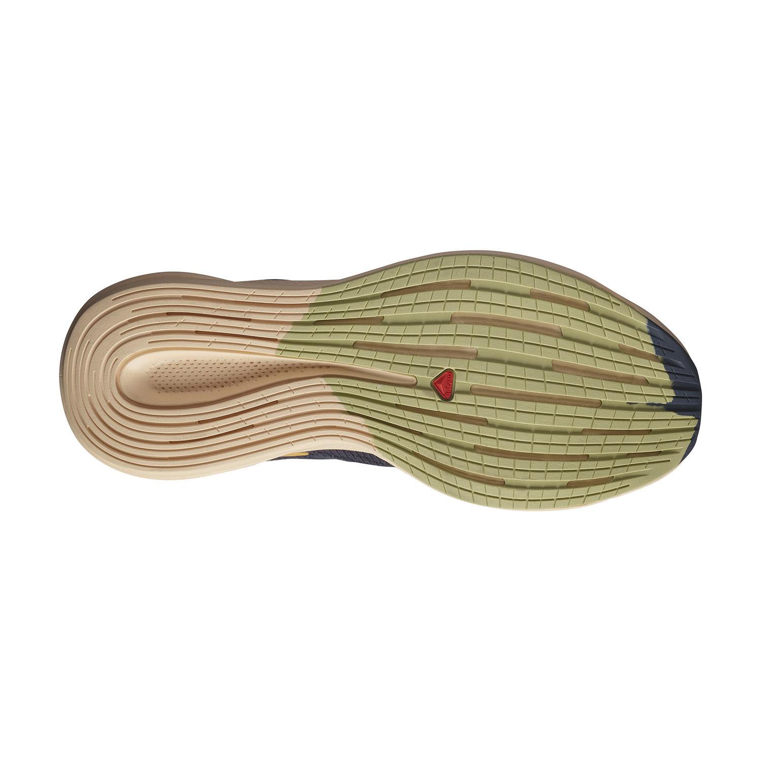 Salomon Spectur Ebony/Almond Cream/Leek Green