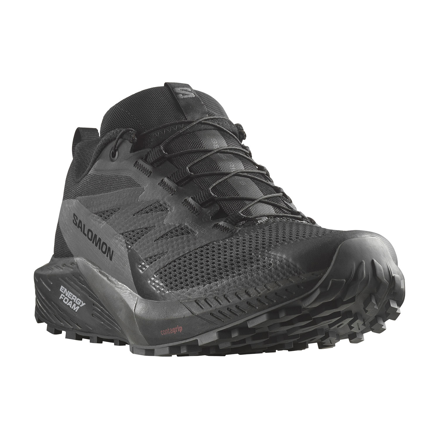 Salomon Sense Ride 5 GTX Black/Magnet