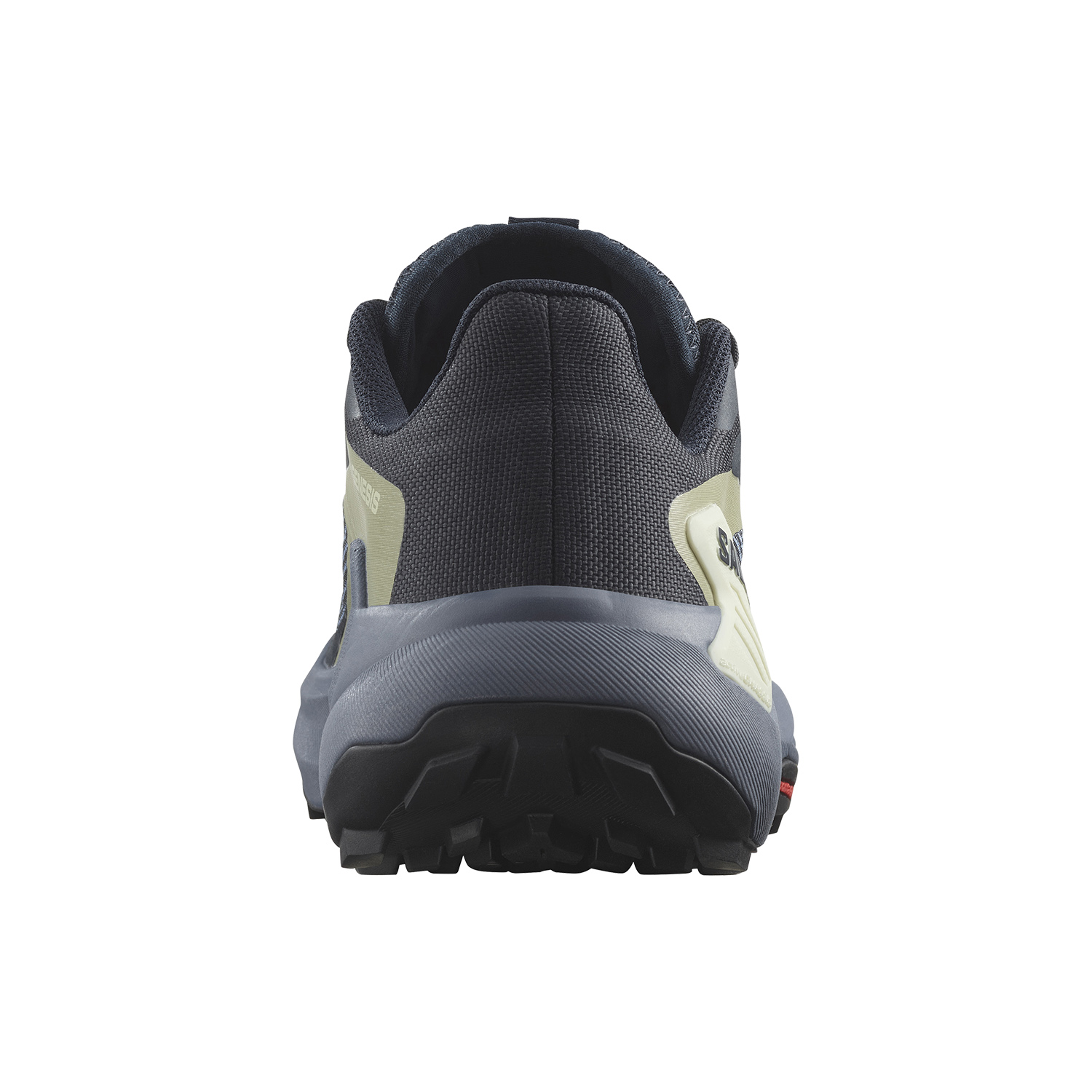 Salomon Genesis Carbon/Grisaille/Aloe Wash