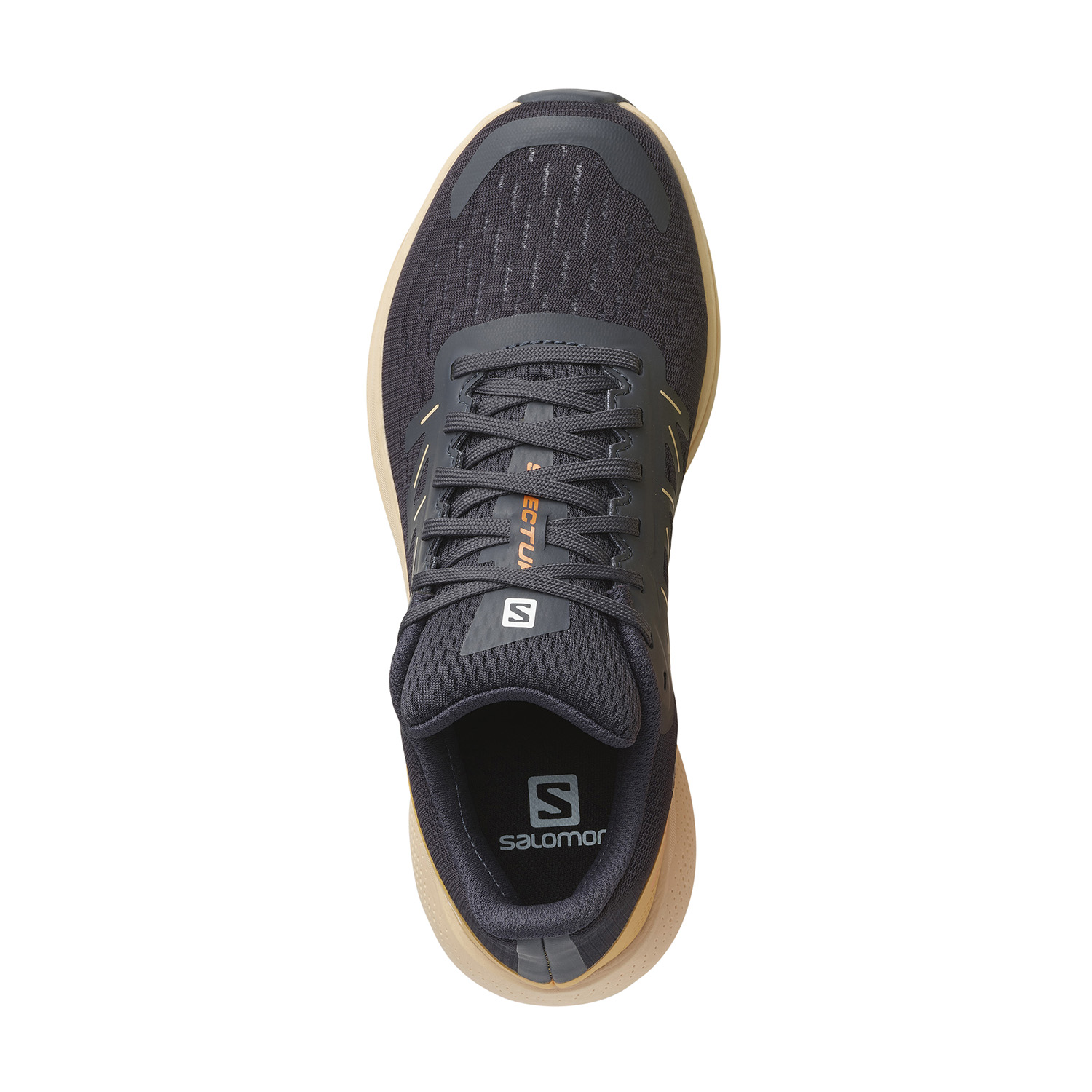 Salomon Spectur Ebony/Almond Cream/Leek Green