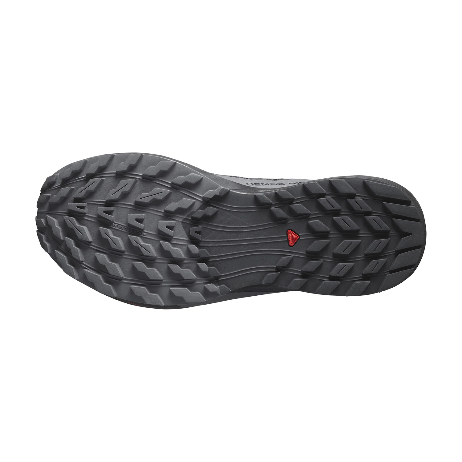 Salomon Sense Ride 5 GTX Black/Magnet