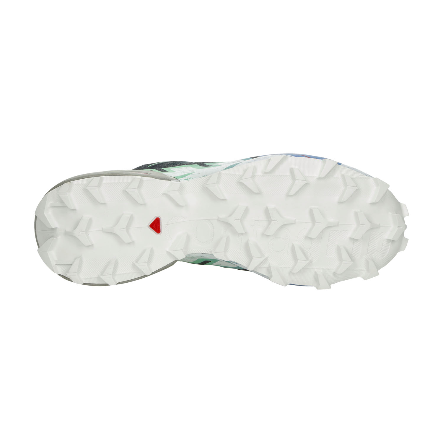 Salomon Speedcross 6 GTX Carbon/Provence/White