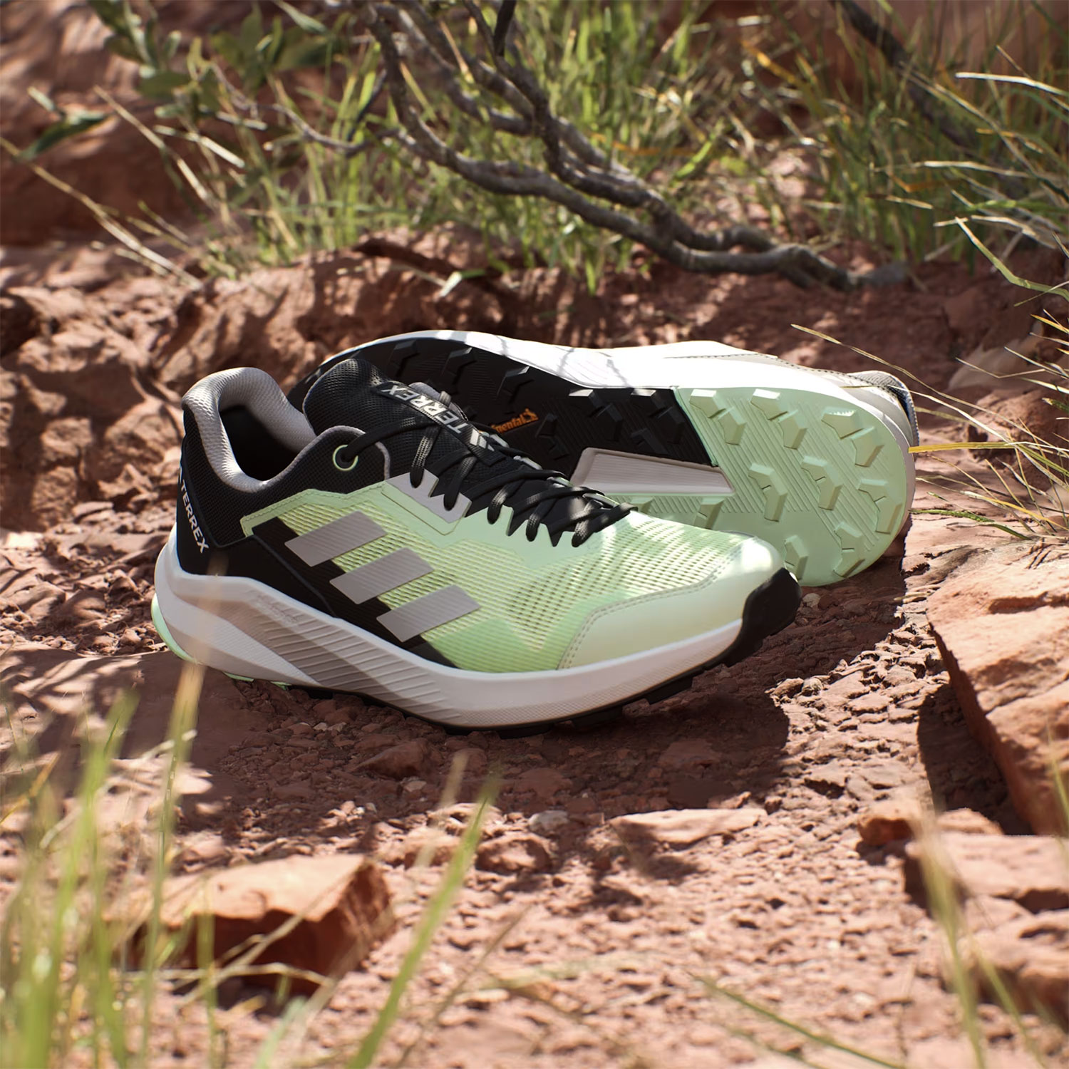 adidas Terrex Trailrider Green Spark/Wonder Silver/Core Black