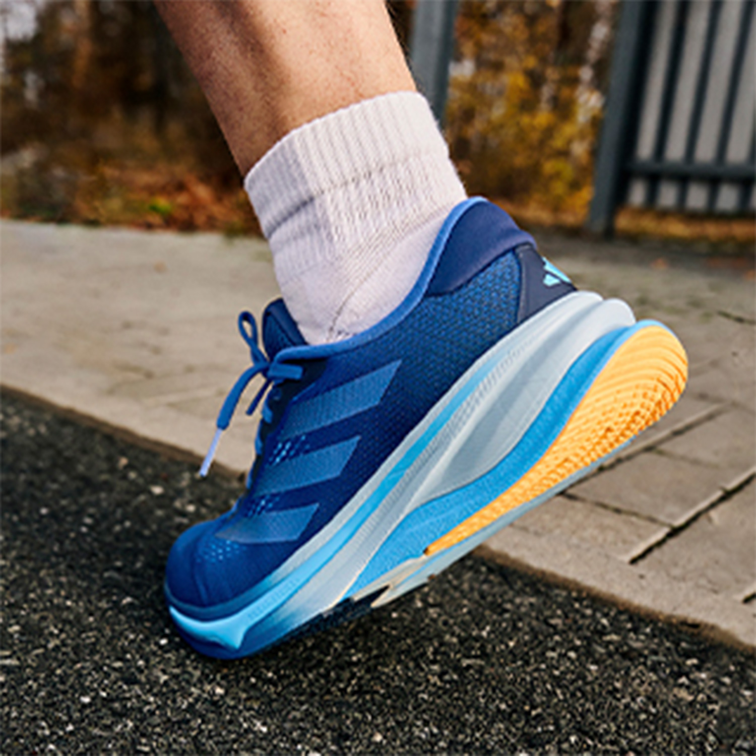 adidas Supernova Solution Royal Blue/Dark Blue/Blue Burst