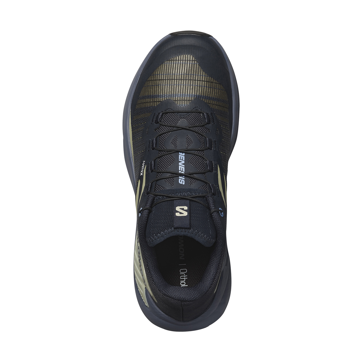 Salomon Genesis Carbon/Grisaille/Aloe Wash