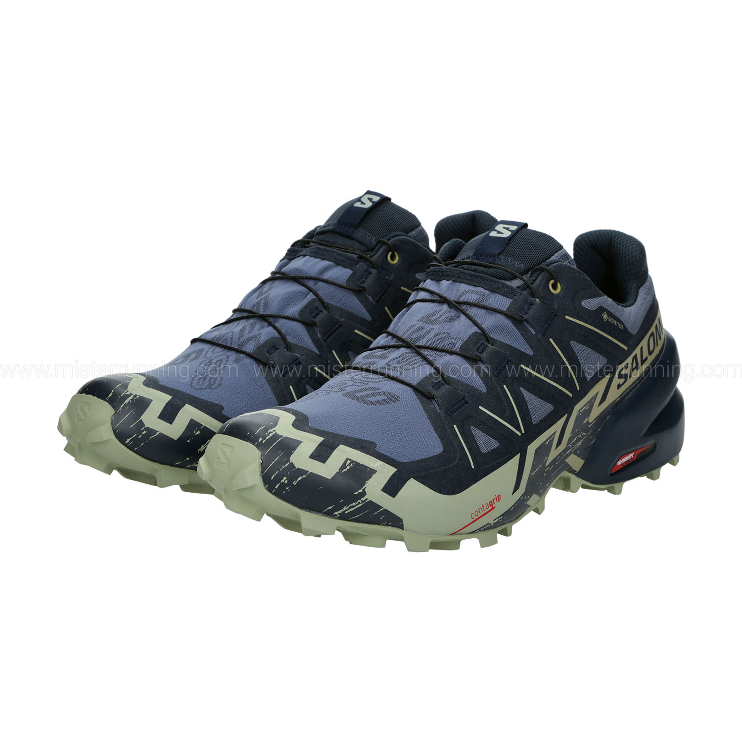 Salomon Speedcross 6 GTX Grisaille/Carbon/Tea