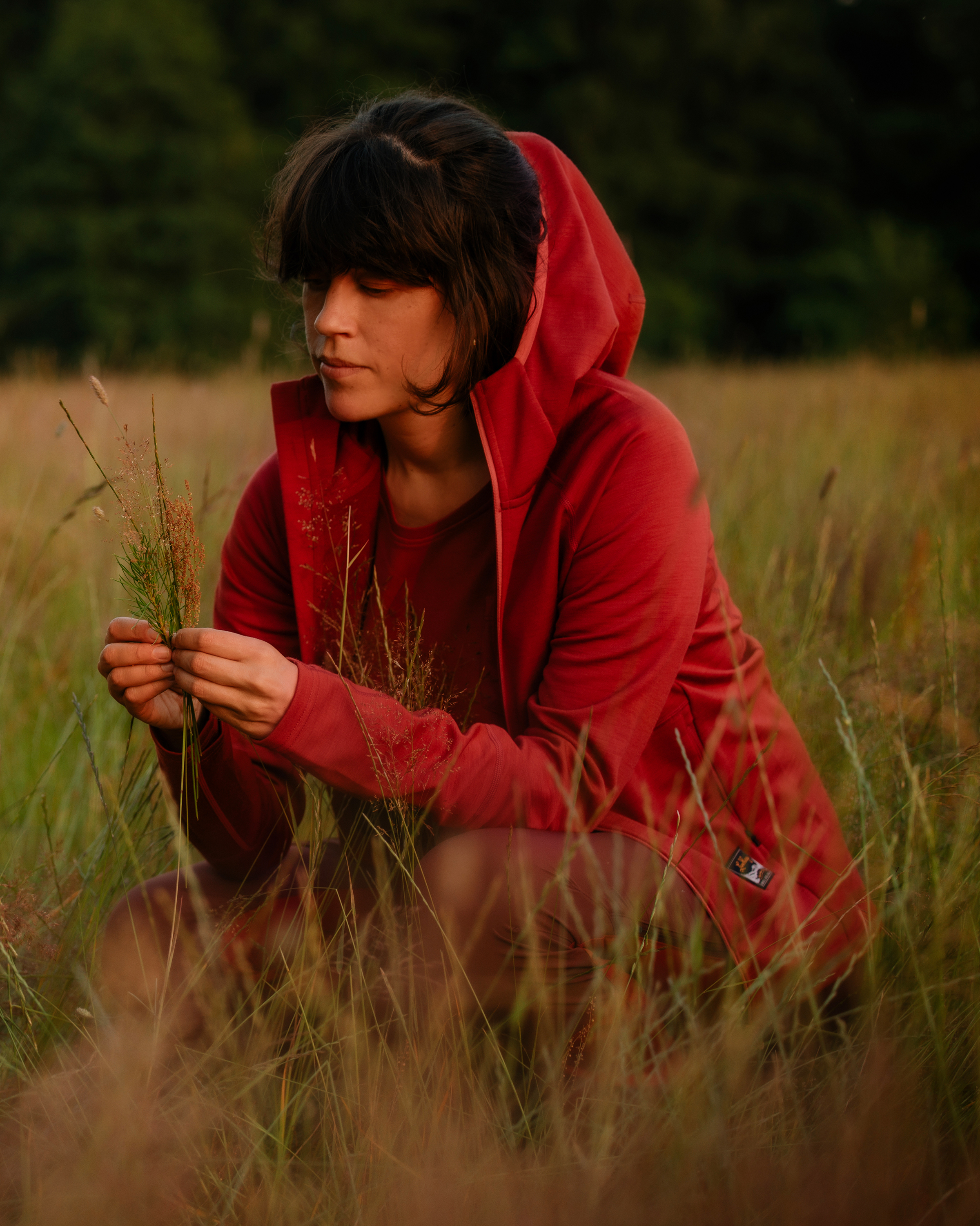 Tived Merino Hoodie W