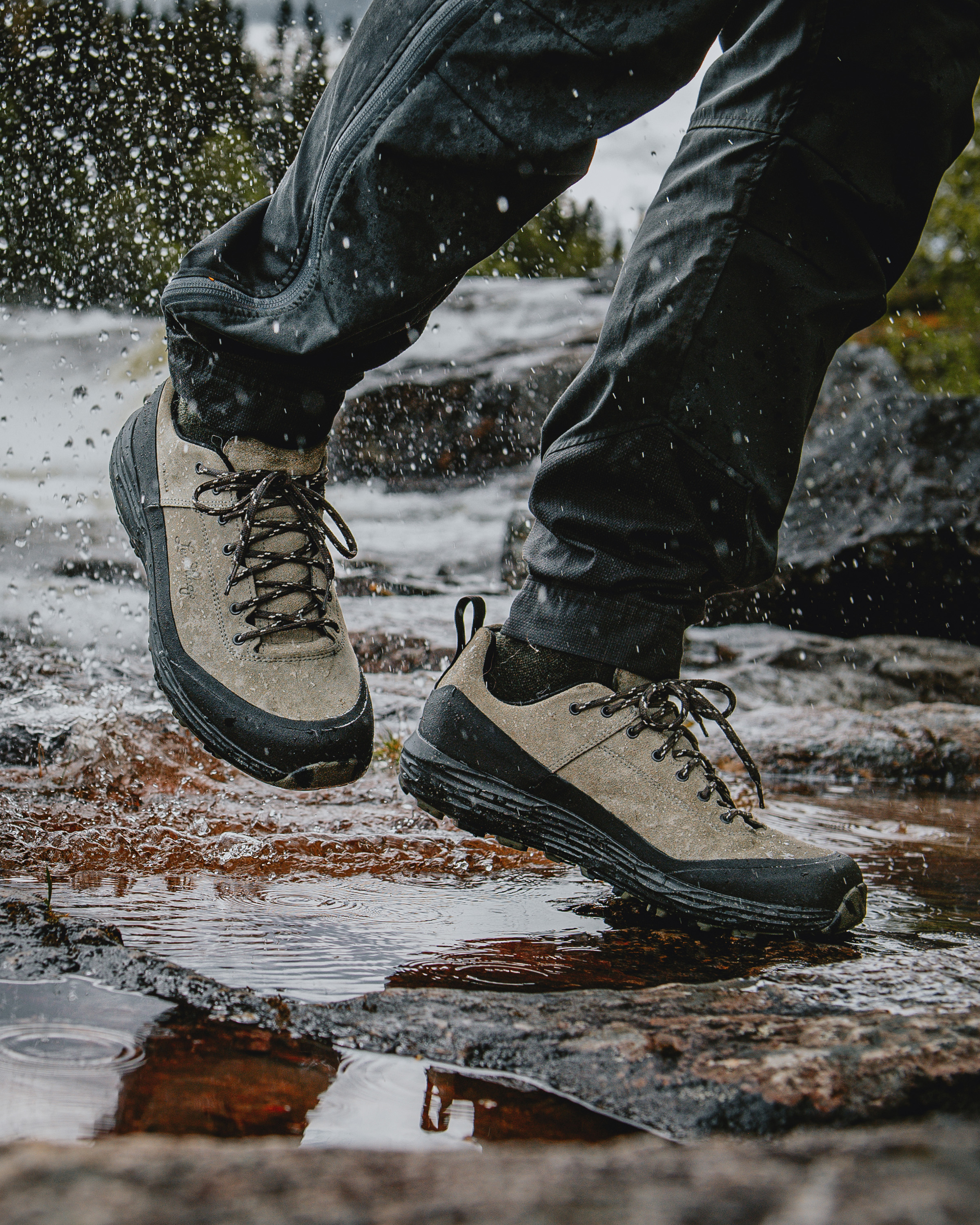 Tived Trail Shoe M