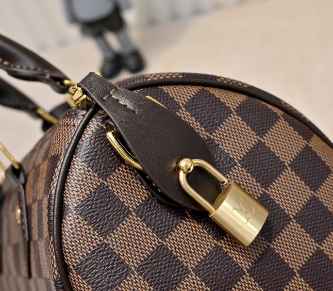 Damier Phriendship Canvas Speedy 25 Bandouliere