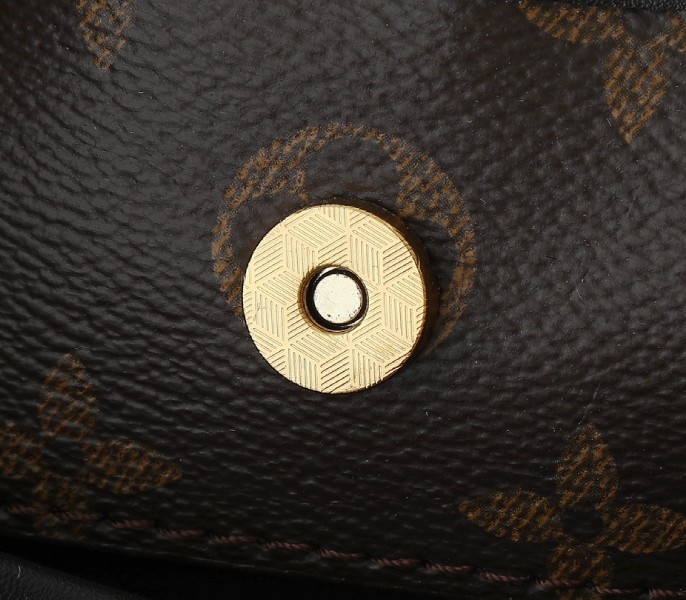 Monogram Canvas The Drop PM