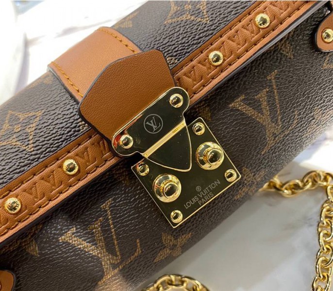 Louis Vuitton Monogram Canvas Papillon Trunk Bag