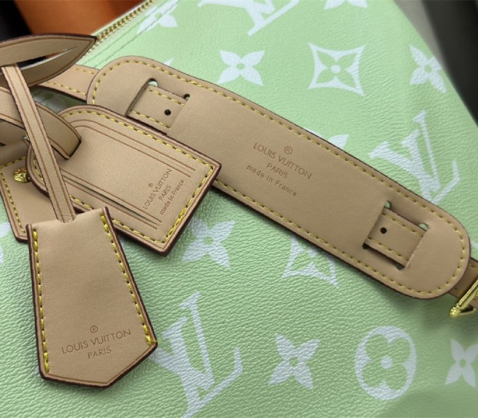 Louis Vuitton Speedy P9 Bandouliere 50 Bag In Light Green