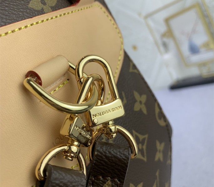 Louis Vuitton Monogram Canvas Montsouris Mini Backpack