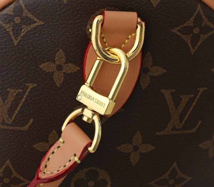 Monogram Canvas Speedy Soft 30 Lucky