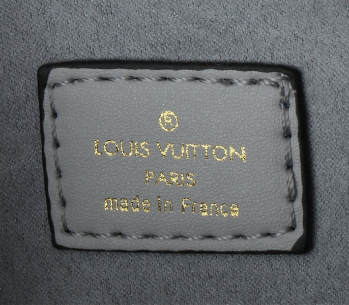 Louis Vuitton Other Leathers Speedy Bandouliere 20 Handbag In Washed Blue