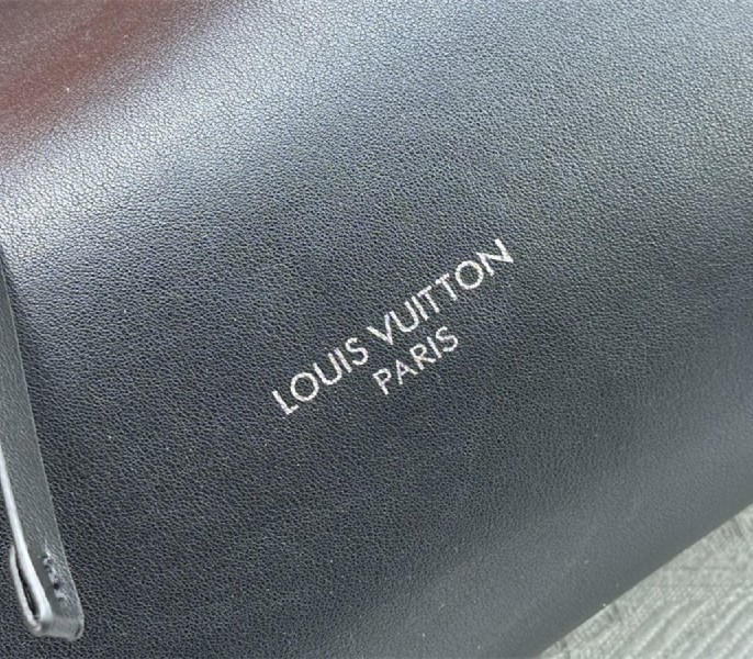 Louis Vuitton CarryAll Vibe MM In Black