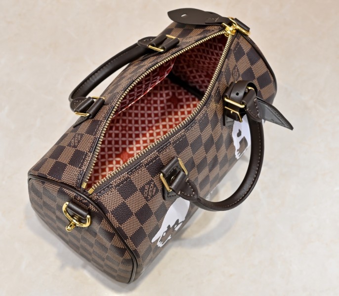 Damier Phriendship Canvas Speedy 25 Bandouliere