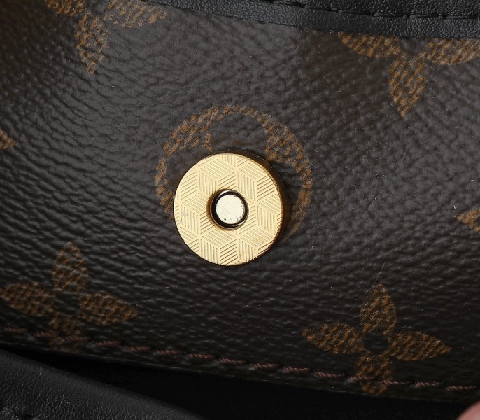 Monogram Canvas The Drop GM