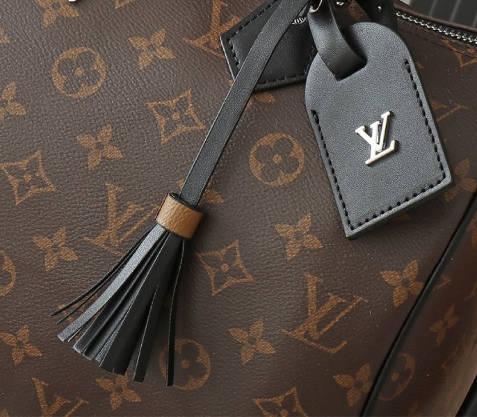 Louis Vuitton Monogram Canvas Soft Speedy 30 Dark Handbag In Black