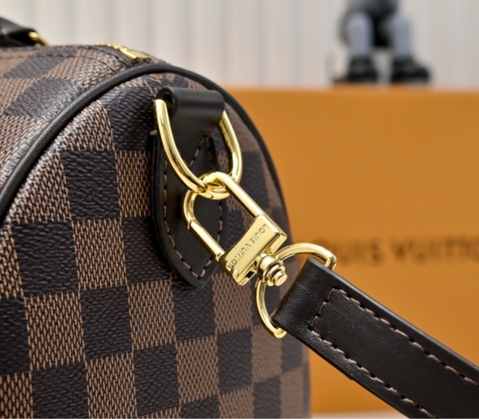 Damier Phriendship Canvas Speedy 25 Bandouliere