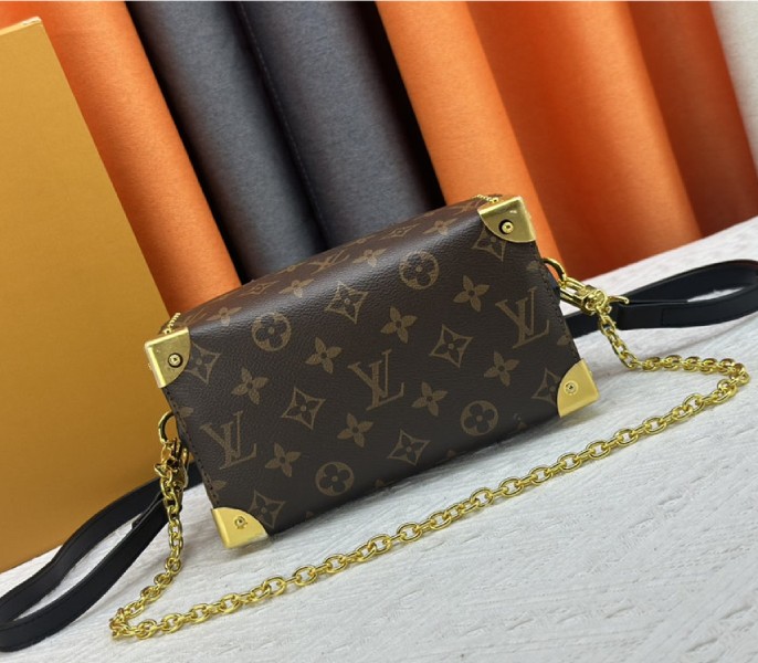 Louis Vuitton Monogram Canvas Cruise 2025 Speedy 20 Trunk Bag In Black