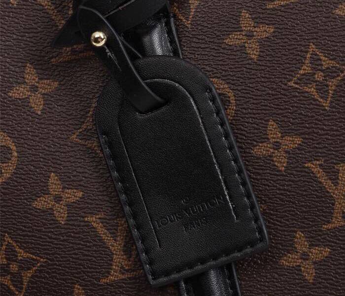Louis Vuitton Monogram Canvas Soufflot MM Bag In Black