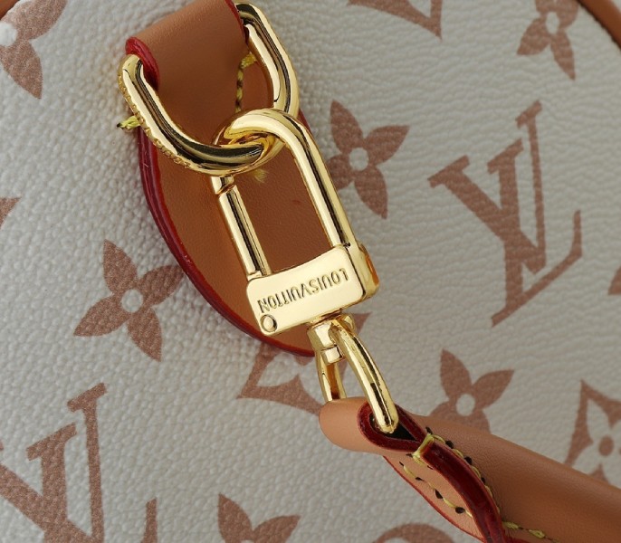 Monogram Dune Canvas Speedy Soft 30 Lucky