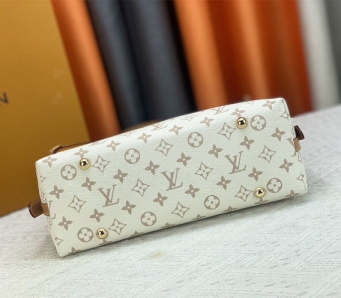 Louis Vuitton Monogram Dune CarryAll PM Bag