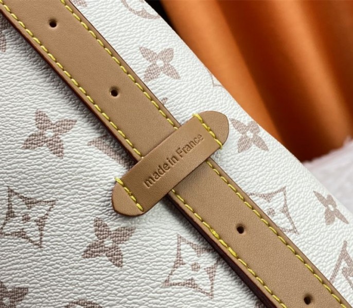 Louis Vuitton Monogram Dune Canvas CarryAll MM Bag