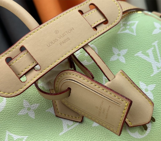 Louis Vuitton Speedy P9 Bandouliere 40 Bag In Light Green