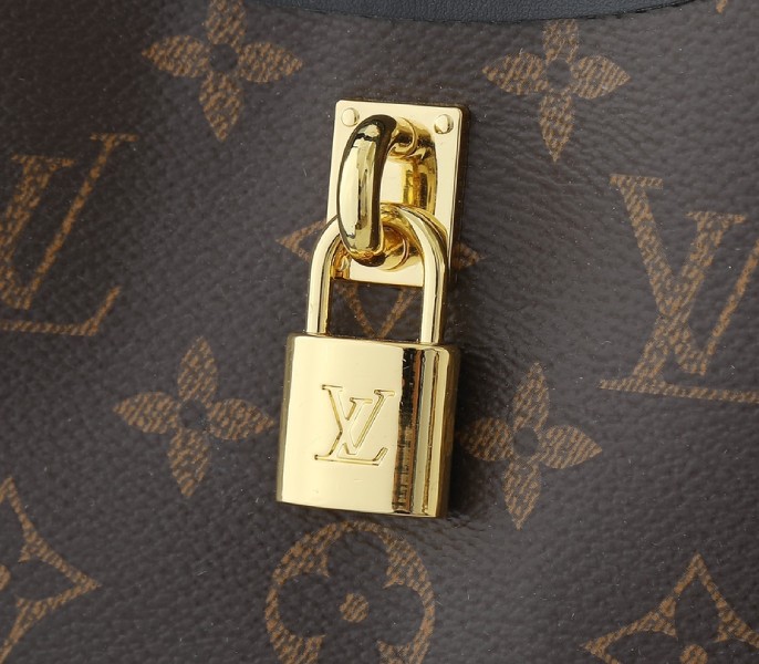 Monogram Canvas The Drop PM