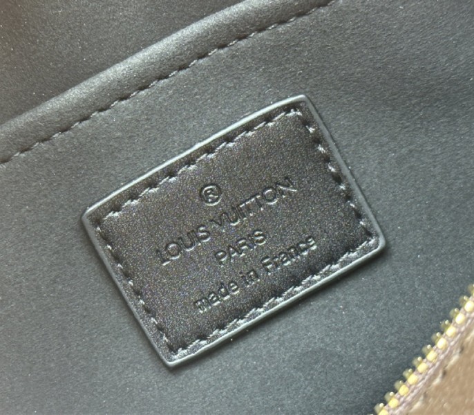 Louis Vuitton Monogram Canvas Cruise 2025 Speedy 20 Trunk Bag In Black