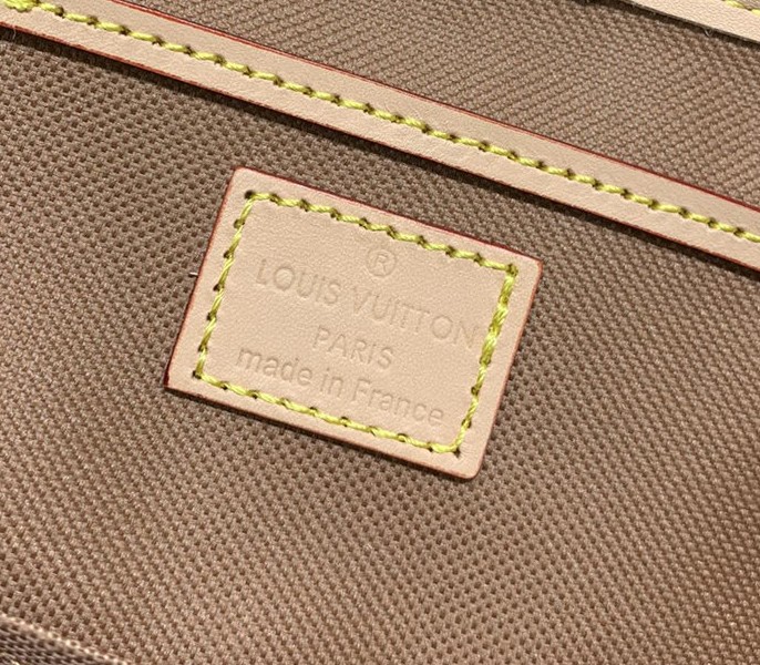 Louis Vuitton Monogram Canvas Montsouris PM Backpack