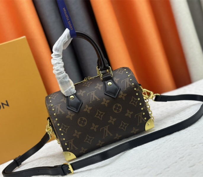 Louis Vuitton Monogram Canvas Cruise 2025 Speedy 20 Trunk Bag In Black