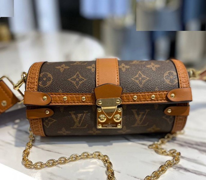 Louis Vuitton Monogram Canvas Papillon Trunk Bag