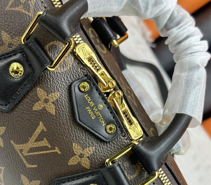 Louis Vuitton Monogram Canvas Cruise 2025 Speedy 20 Trunk Bag In Black