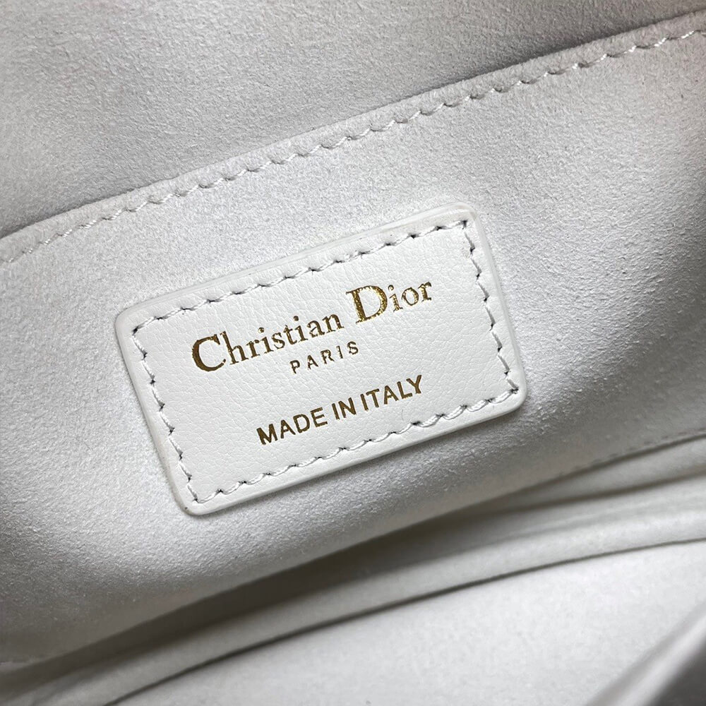 Small Dior Caro top handle camera bag