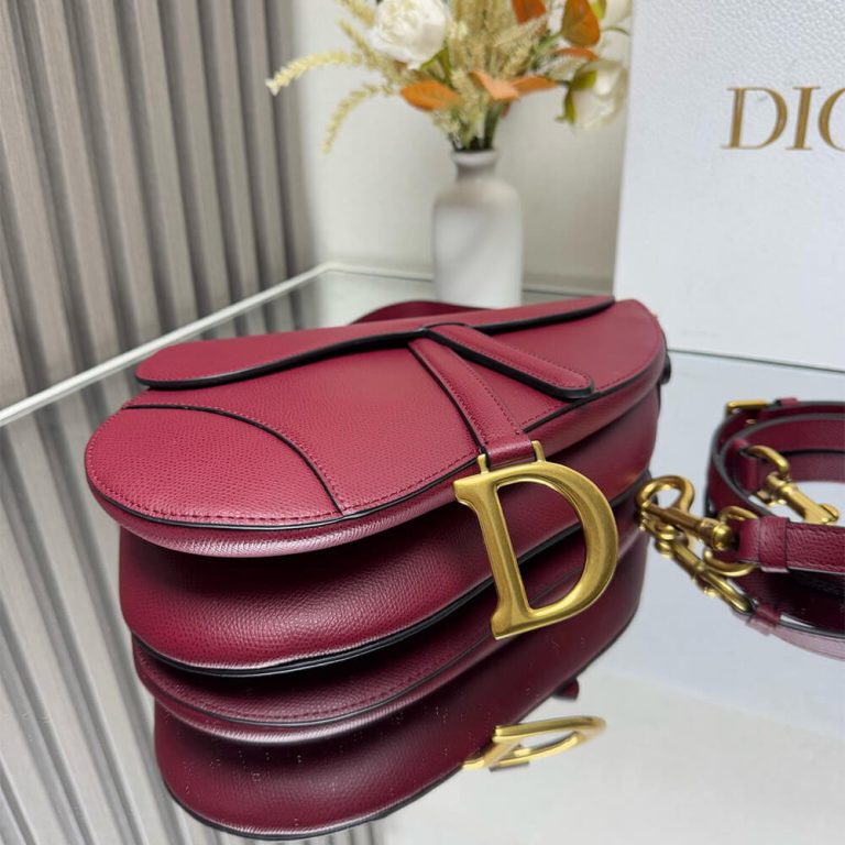 Dior Saddle Bag with Strap