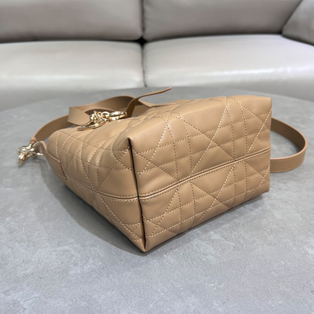 Small Dior Toujours Vertical Tote Bag