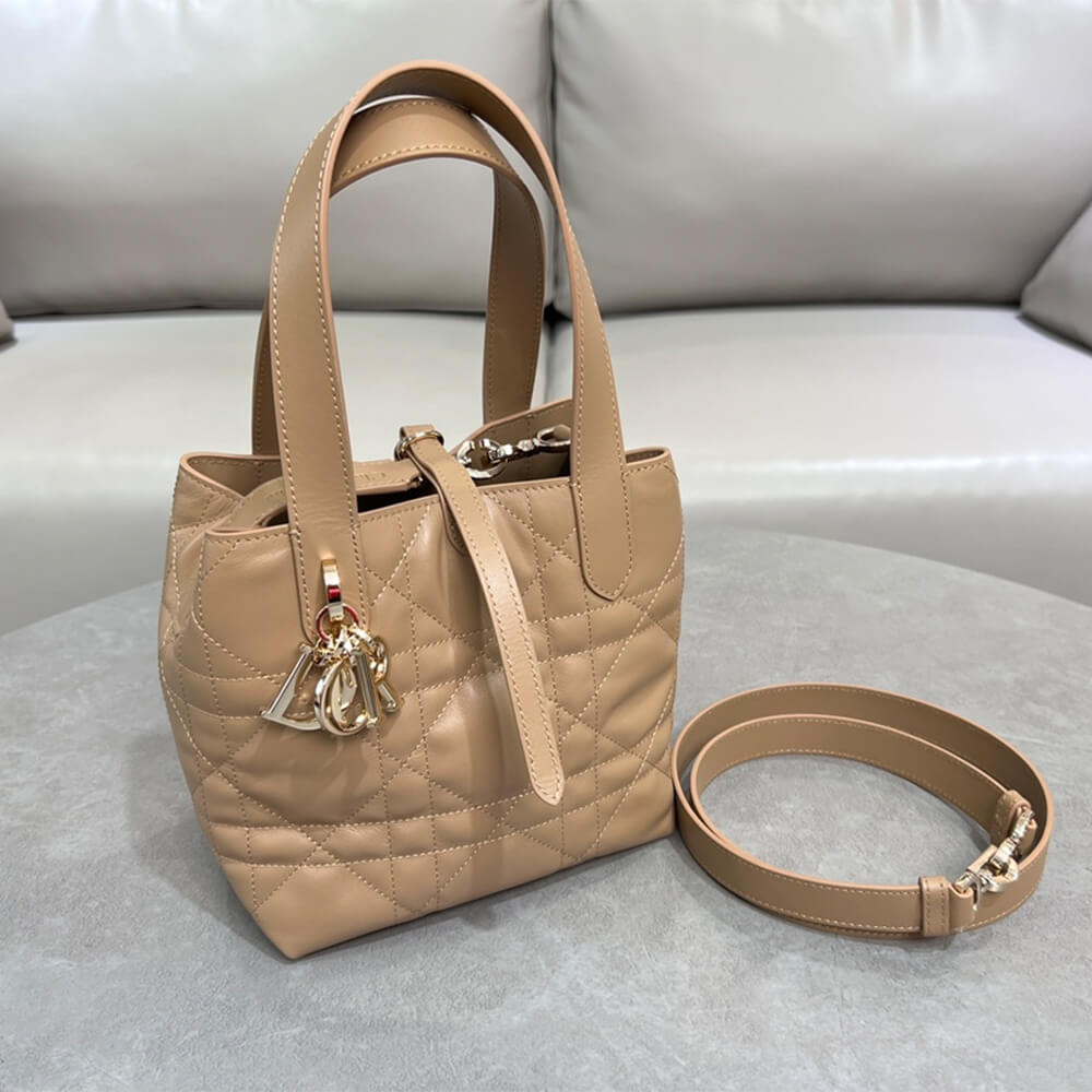 Small Dior Toujours Vertical Tote Bag