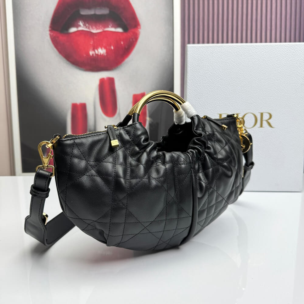 Dior Walk in Dior Purse