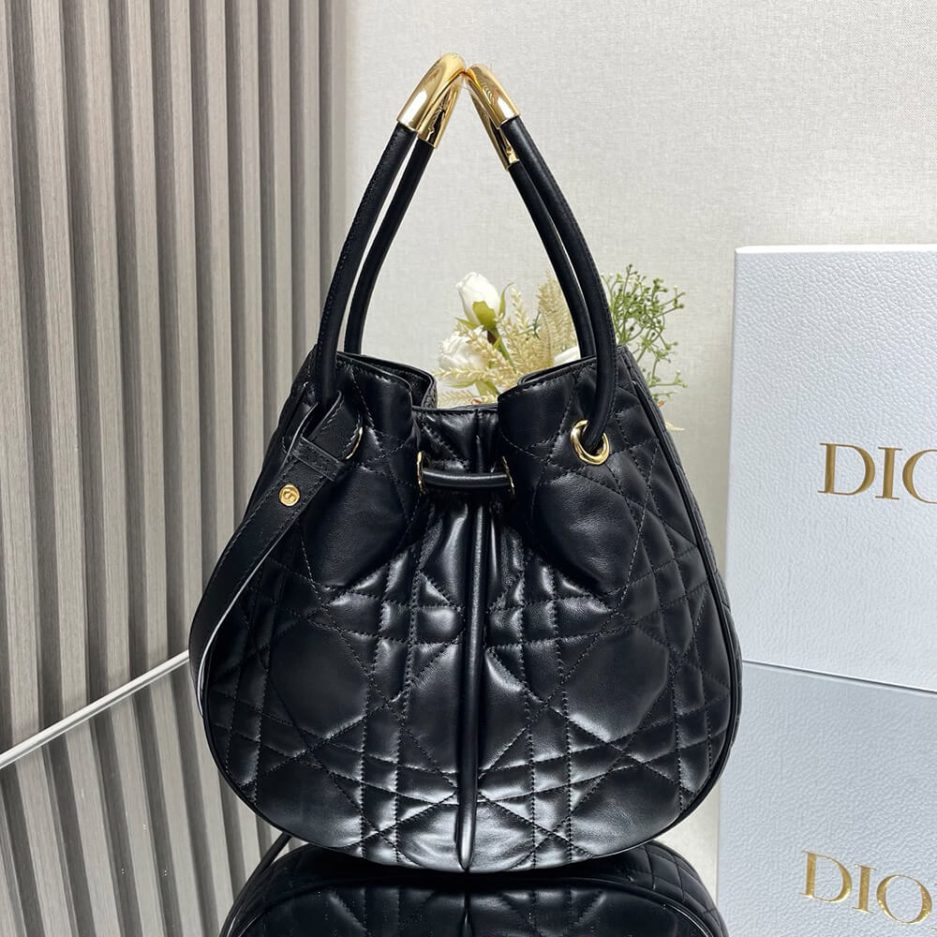 Medium Dior Nolita Bag