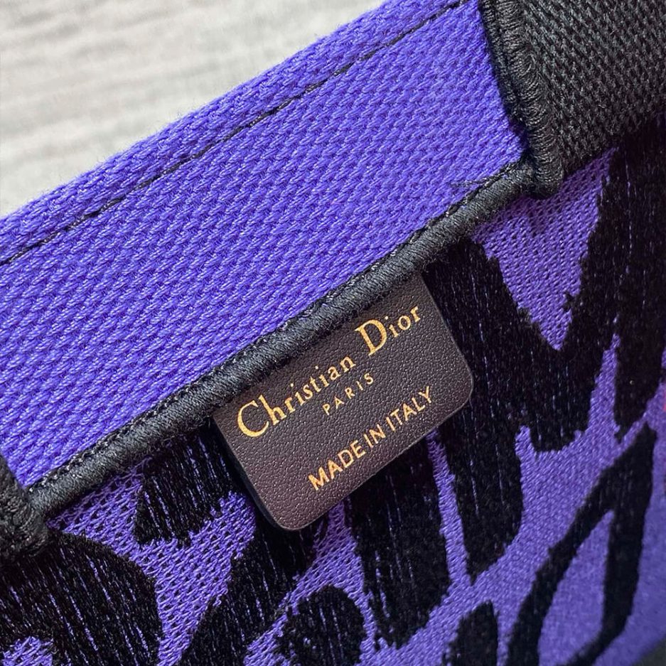 Small Dior Book Tote