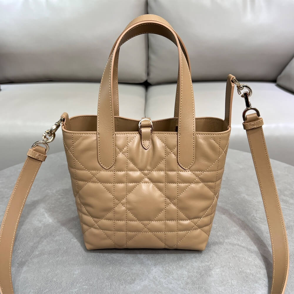 Small Dior Toujours Vertical Tote Bag