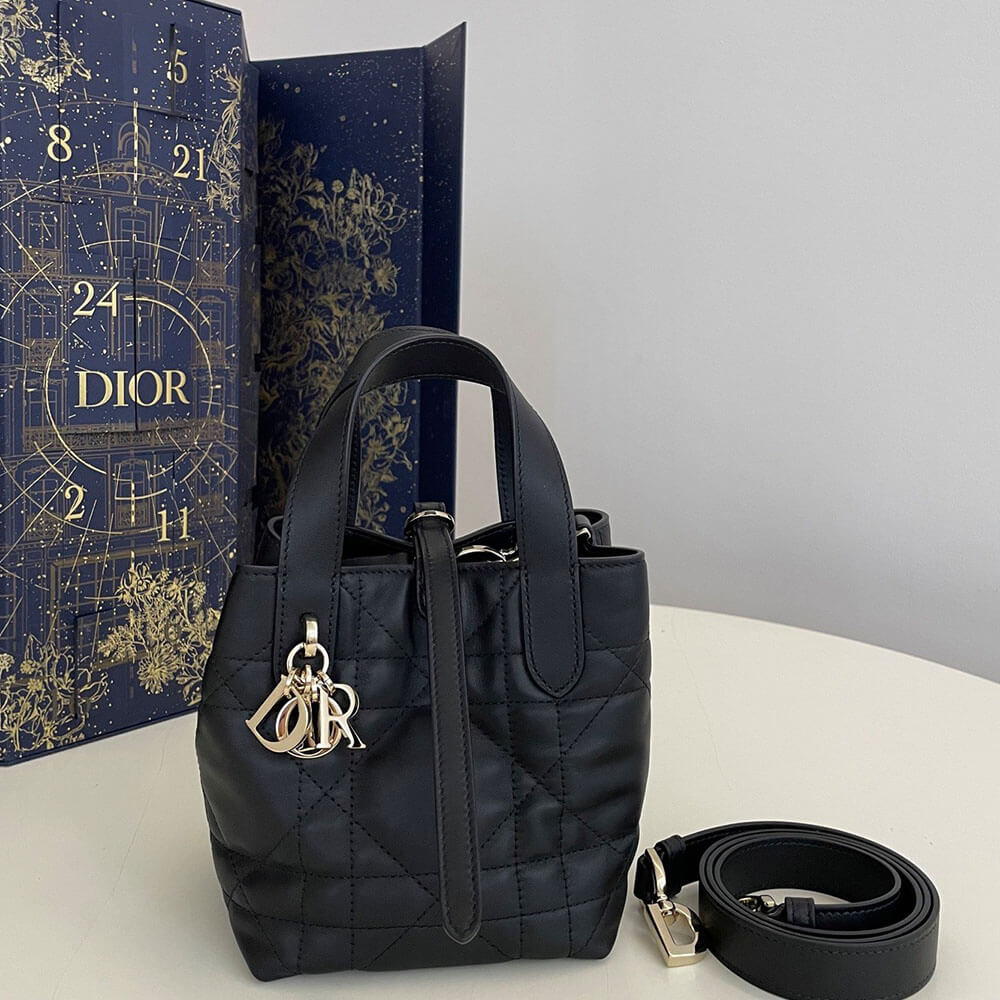 Dior Toujours Vertical Nano ToteBag(high-end grade)